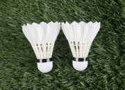 九游体育-印度羽毛球队翻盘丹麦羽毛球队，辛杜送出助攻，成就精彩逆袭