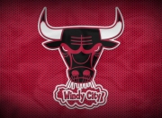 九游娱乐网页-黄蜂蛰穿广厦，布克全场闪耀成唯一焦点