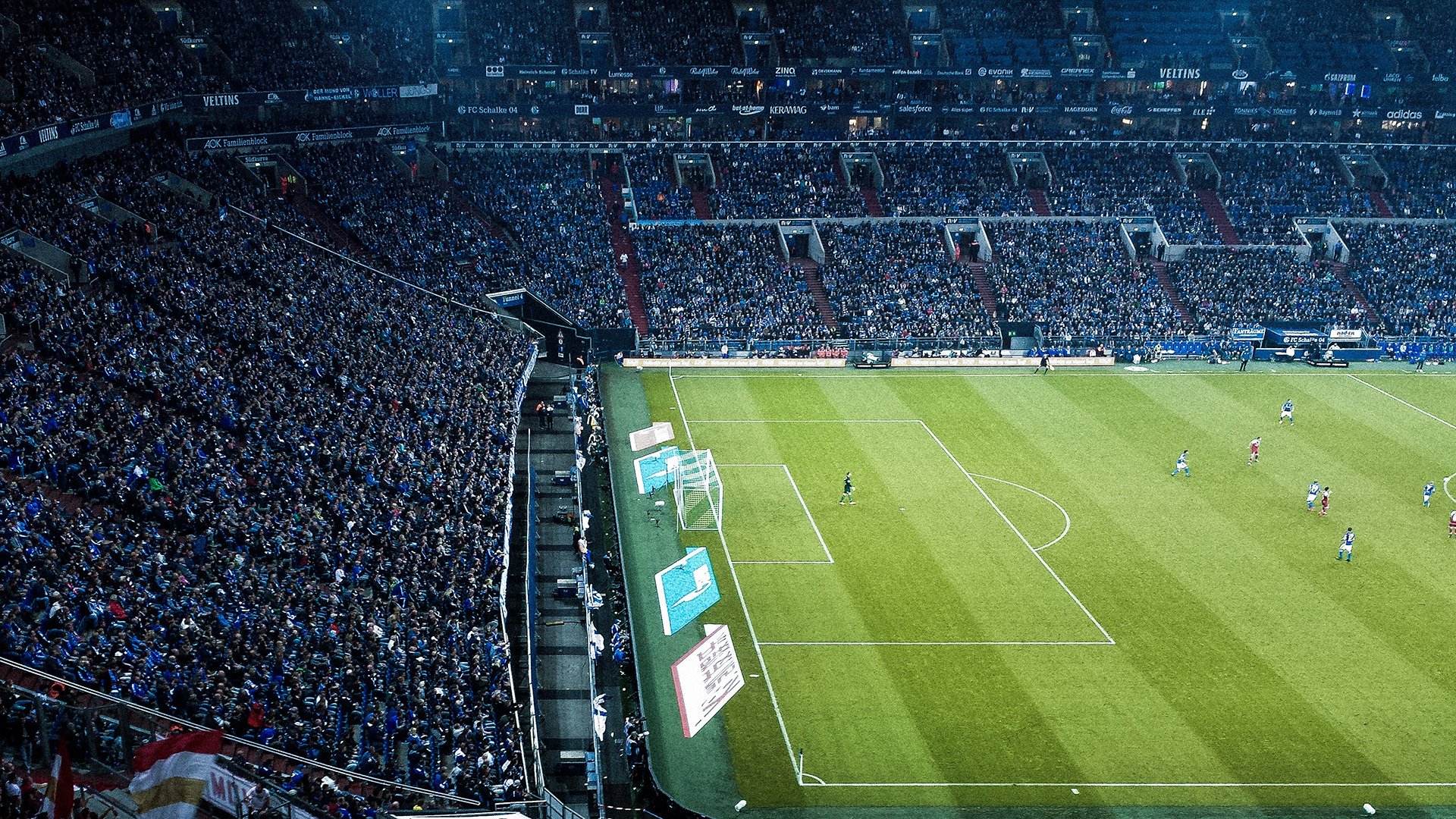 世界杯焦点战启示，广厦式防守如何锁死灰熊的进攻狂潮